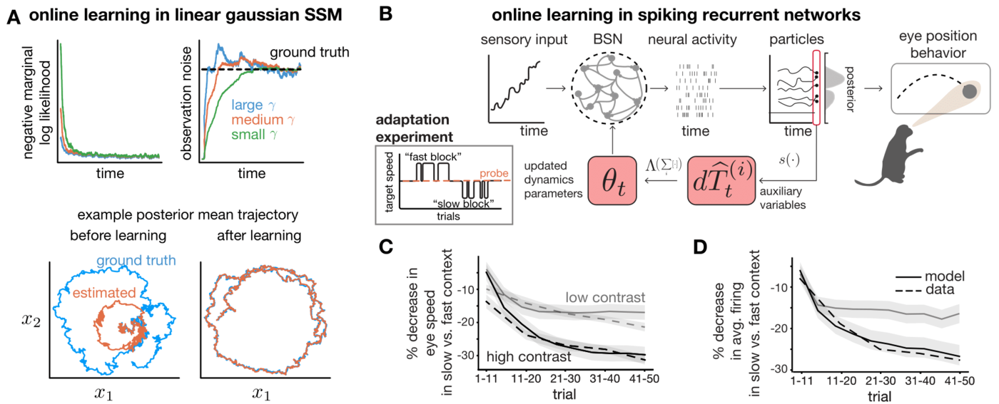 Particle filter visualization of online learning in probabilistic models
